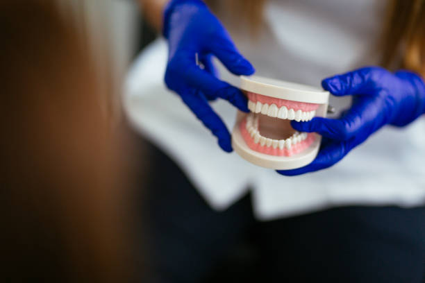 Trusted West Belmar, NJ Holistic Dental Care Services Experts
